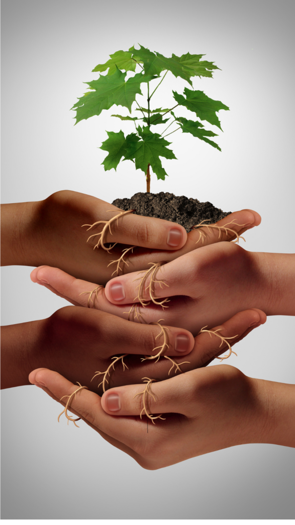 hands of all different backgrounds holding soil that created a plant. The roots are spread throughout the hands to represent caring for the community. 